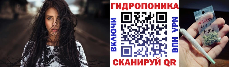 Канабис ГИДРОПОН  купить  цена  Ермолино 